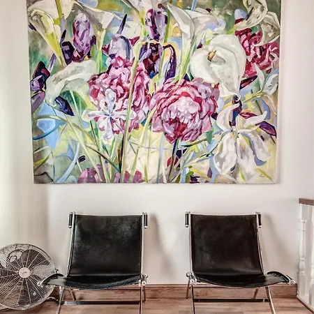 Corfu House Of Art - *